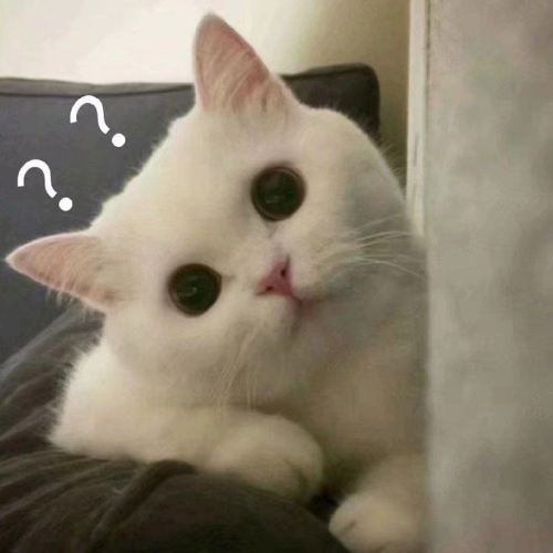 小番茄