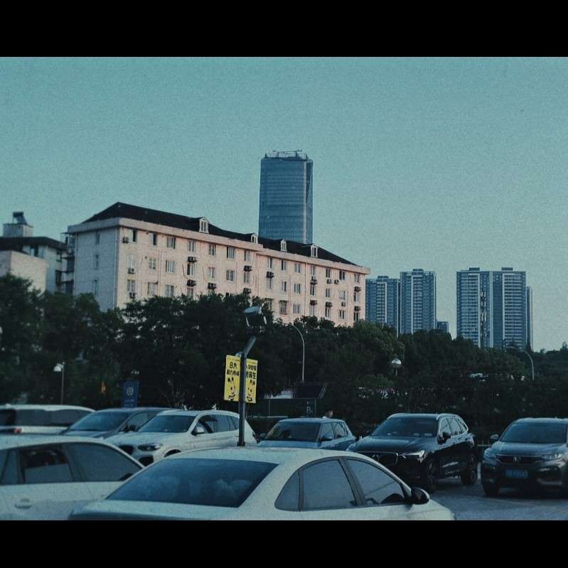 溺水大白鱼