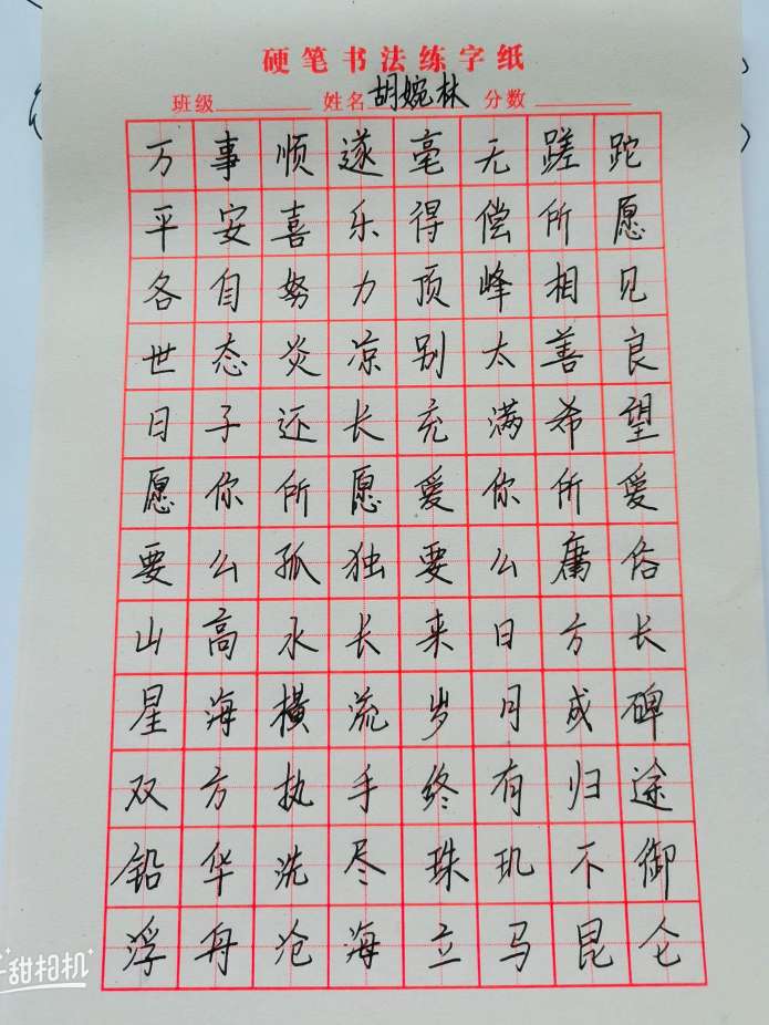胡婉林