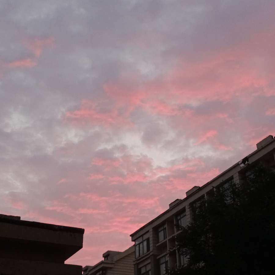 姜悦白