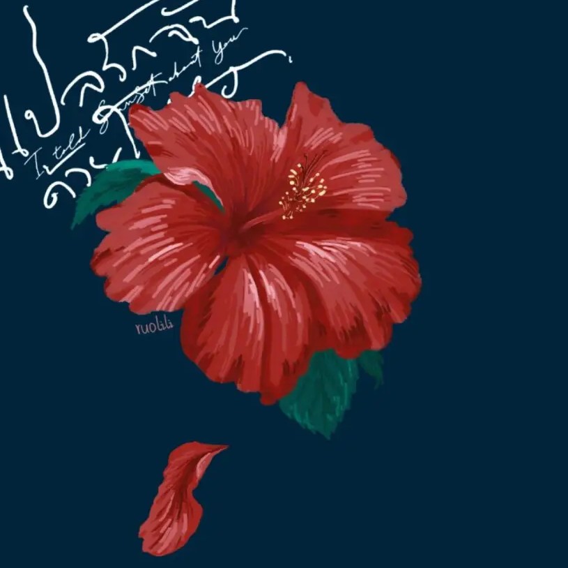桑槿