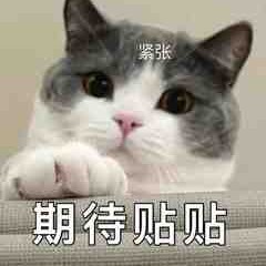 江滔