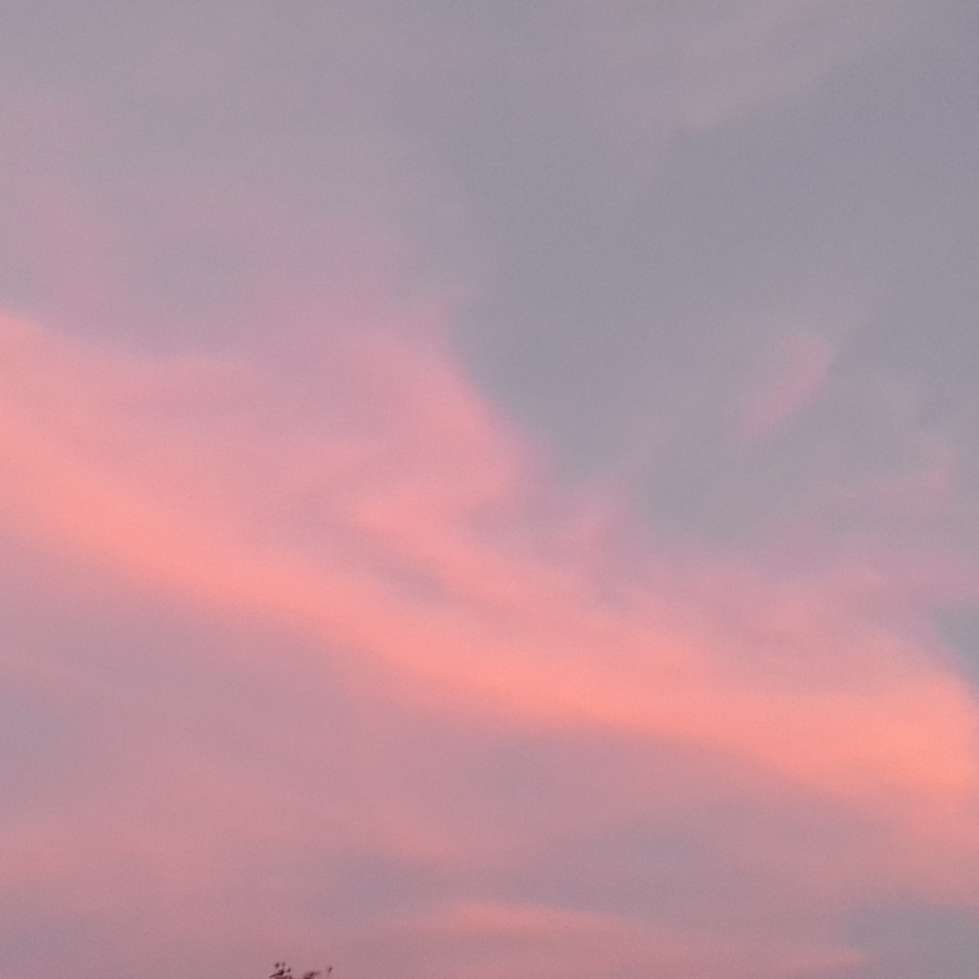 黄舒怡