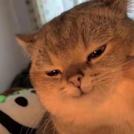 易念
