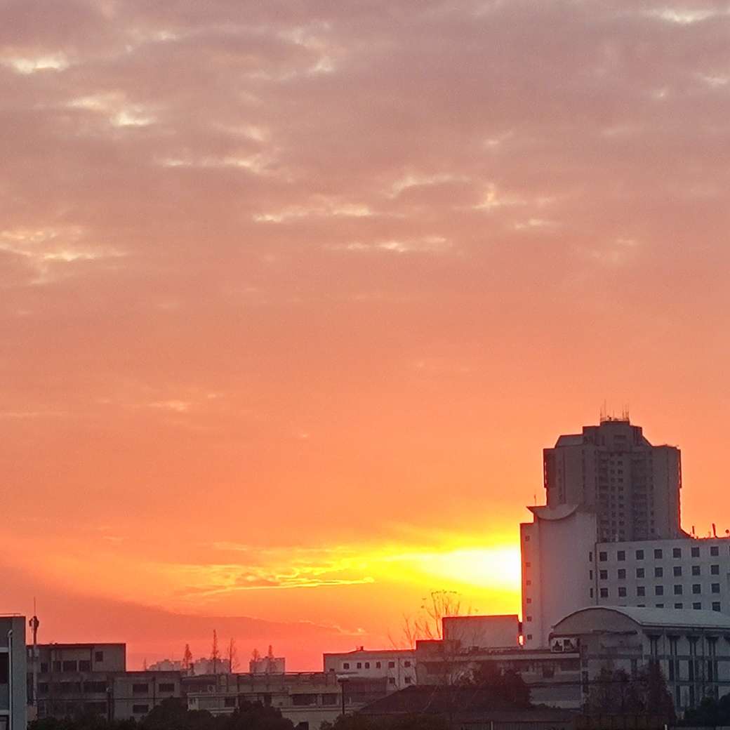七安