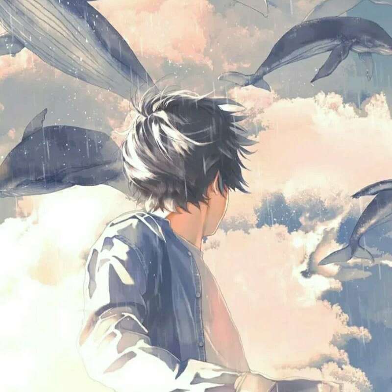 寸风
