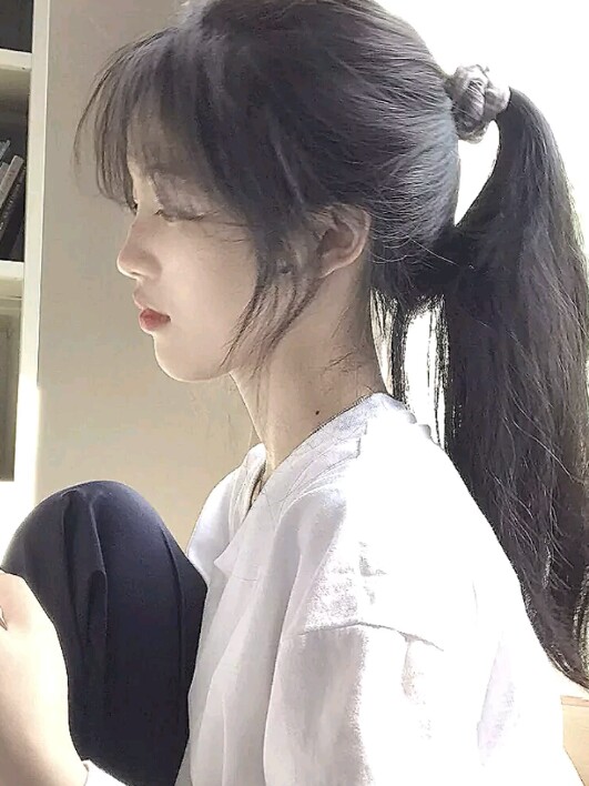 森挽