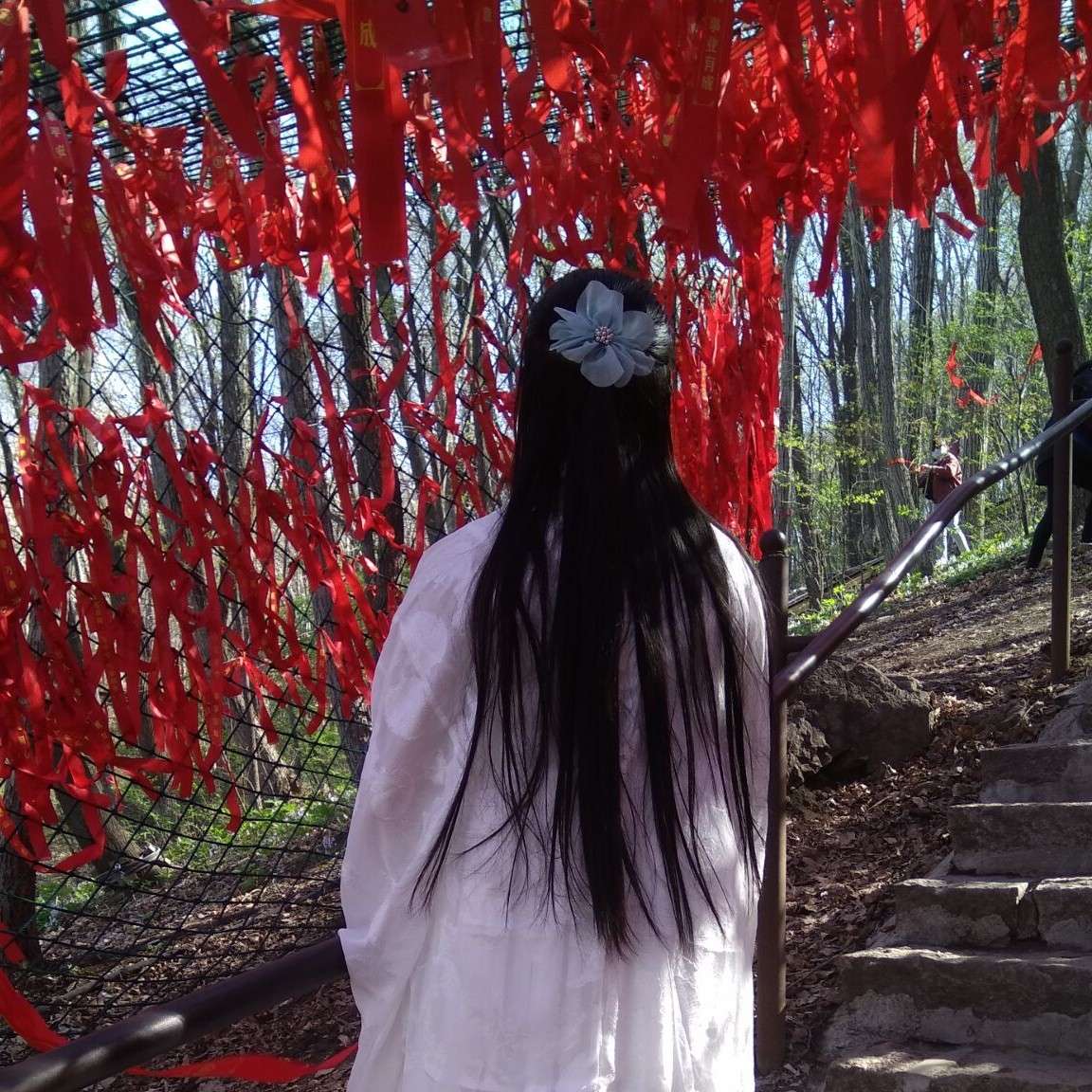 璃尘倾墨