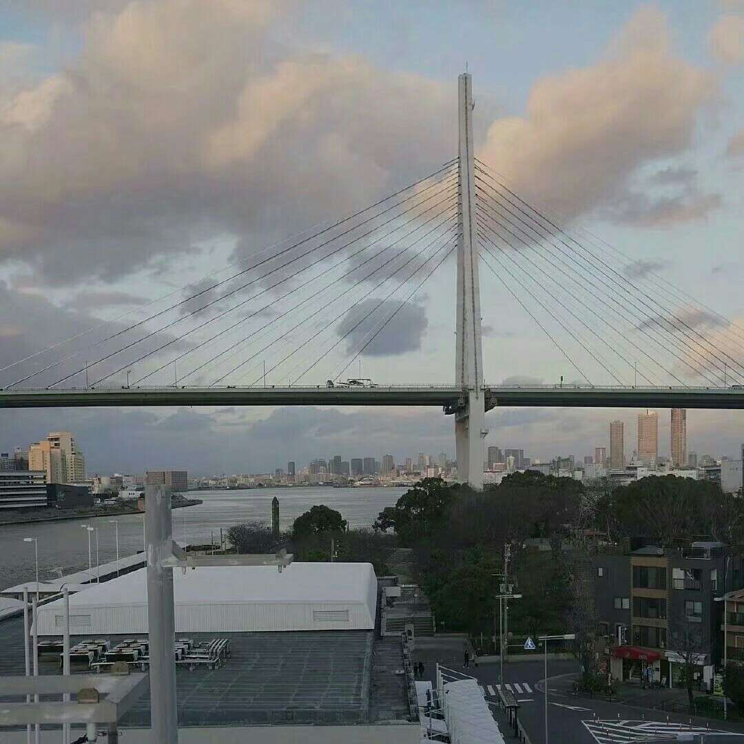 蔡初寻