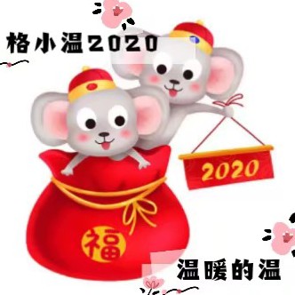 格小温2020