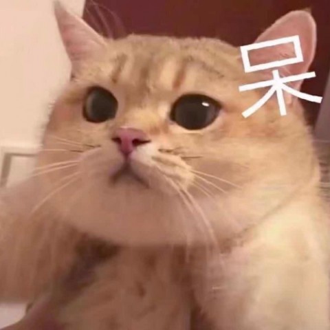 悸栩