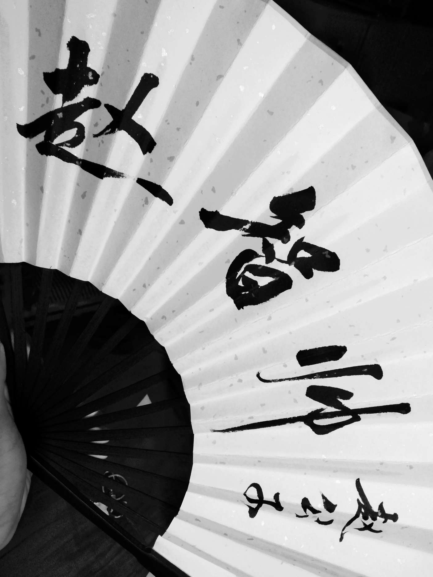 赵智帅