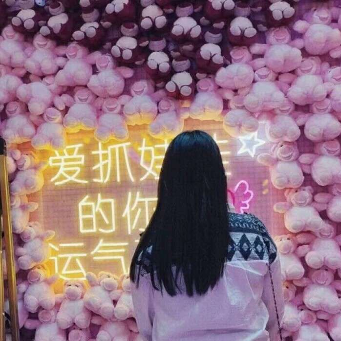 角落的猫