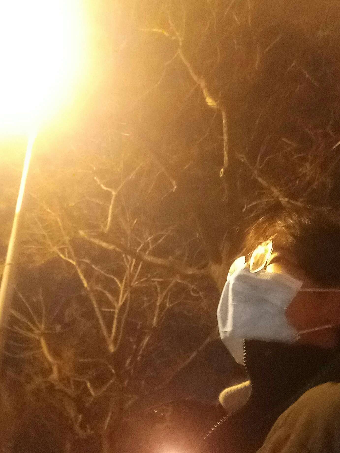 虔寻
