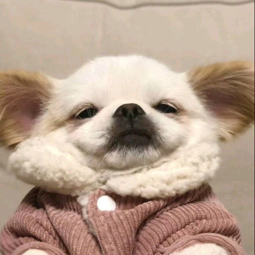 哈哈