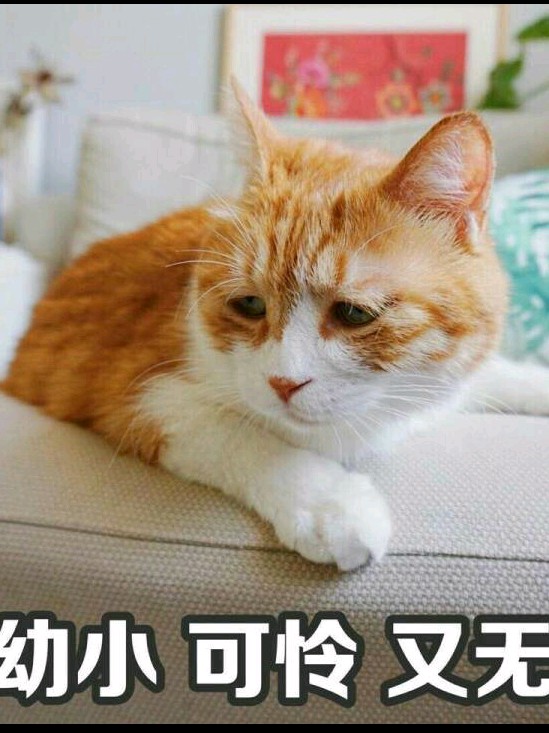 清水娘娘