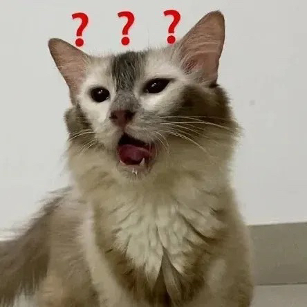 笑七
