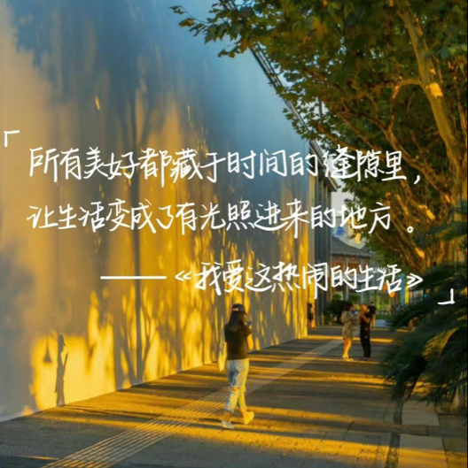 宁雨沉
