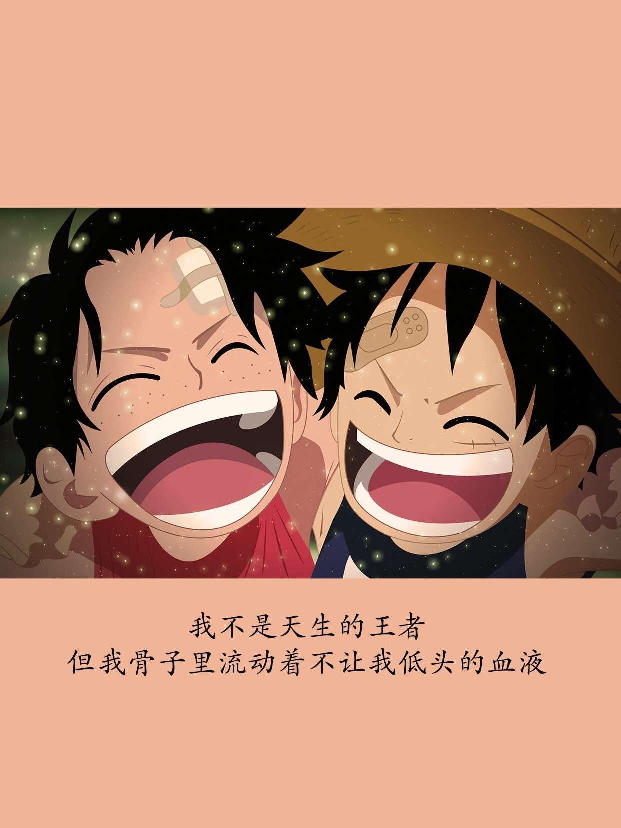 二蛋兄