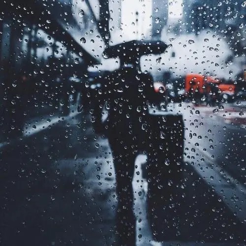 白蘋洲