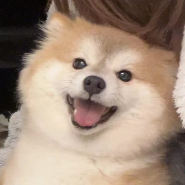 动感光啵