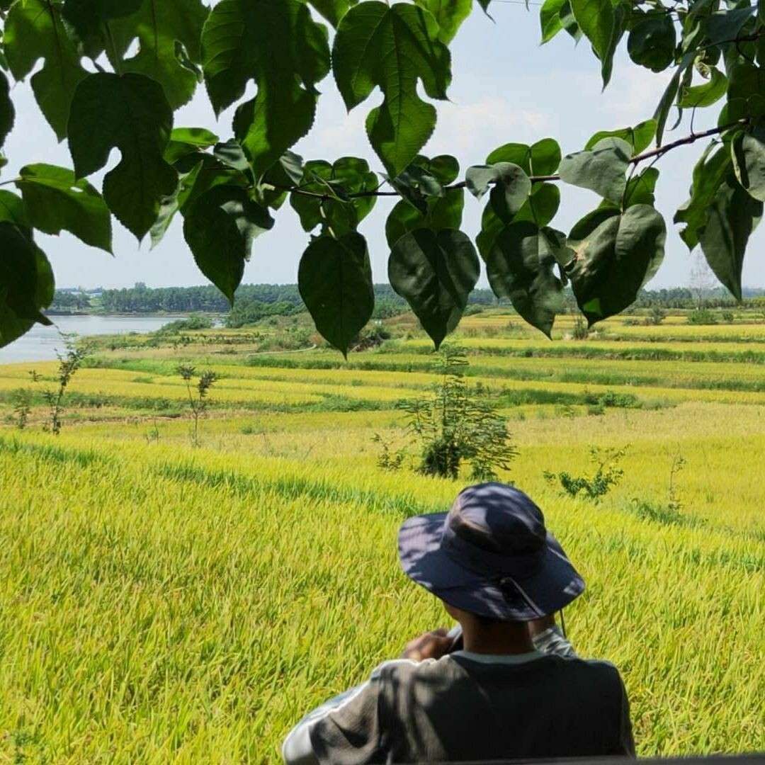 难书丶