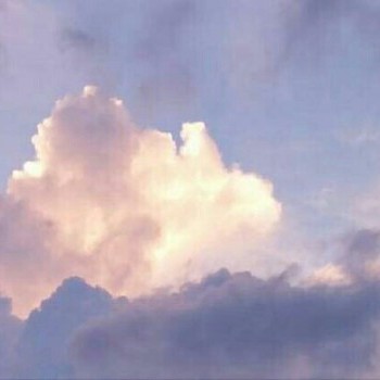 是逝溯的流离
