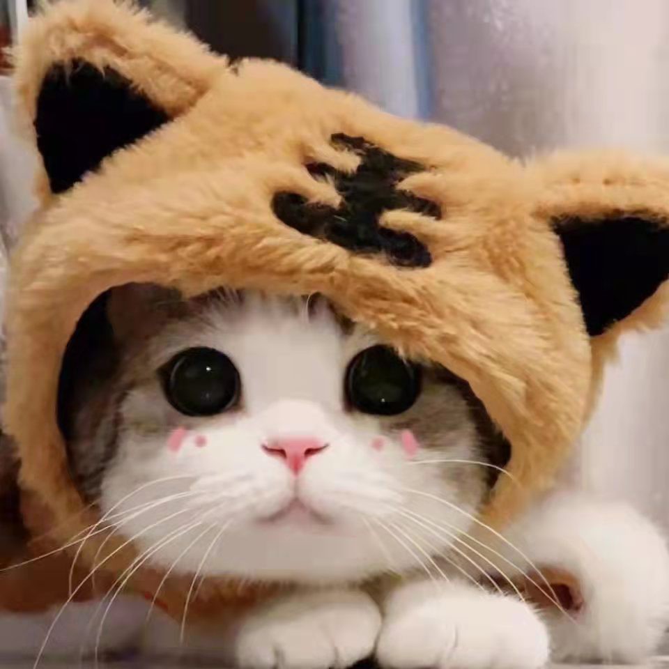 佚名