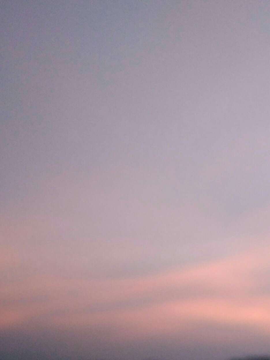 倒入琼杯