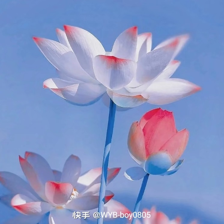 江南
