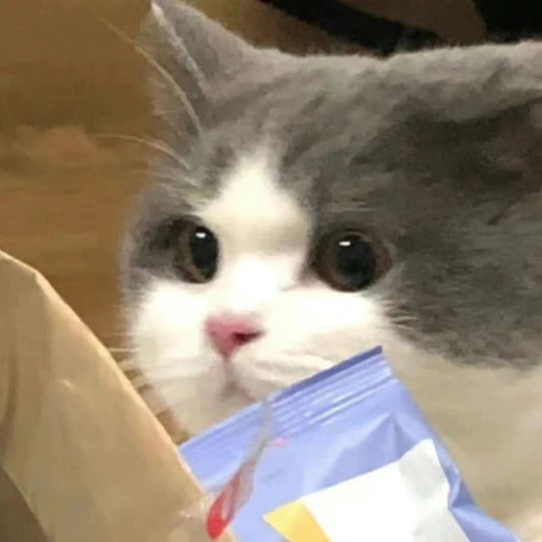 辰墨