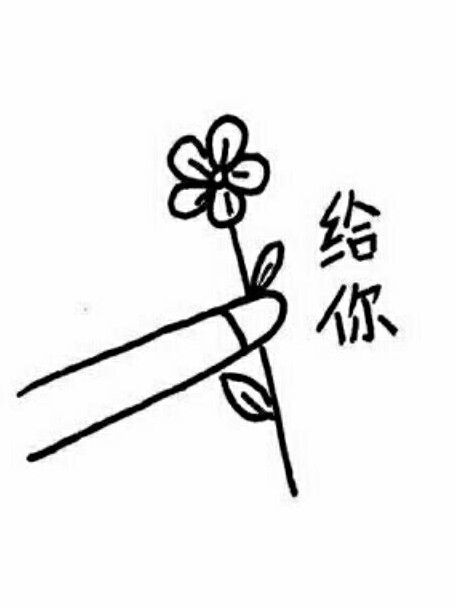 陈小猪