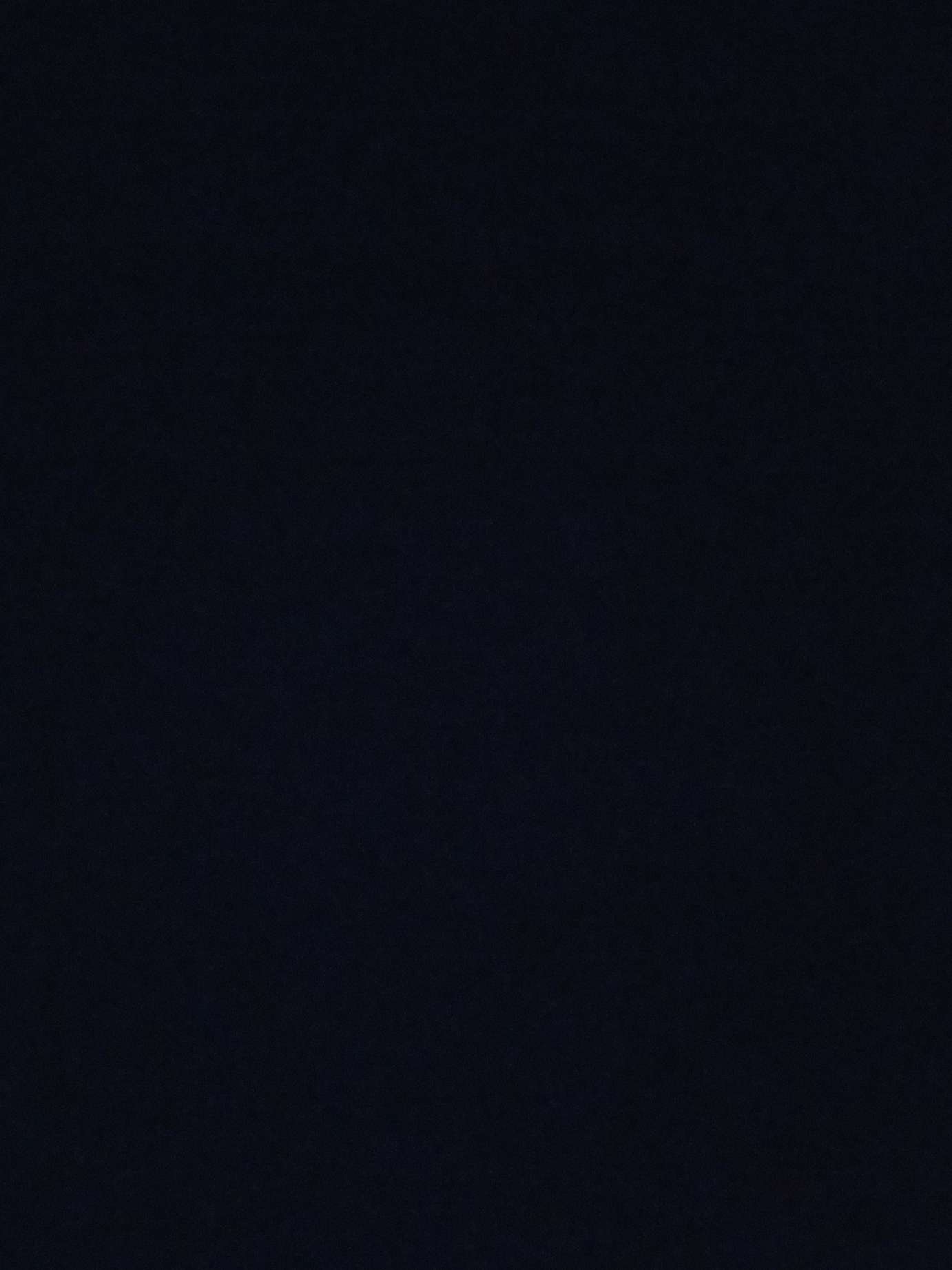 远方的小白桦