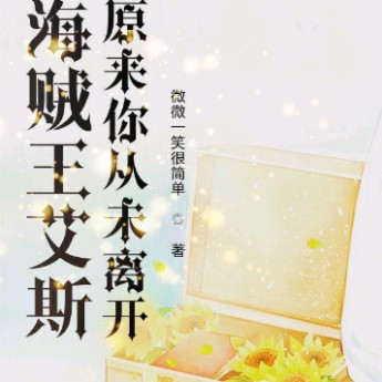 海贼王艾斯原来你从未离去