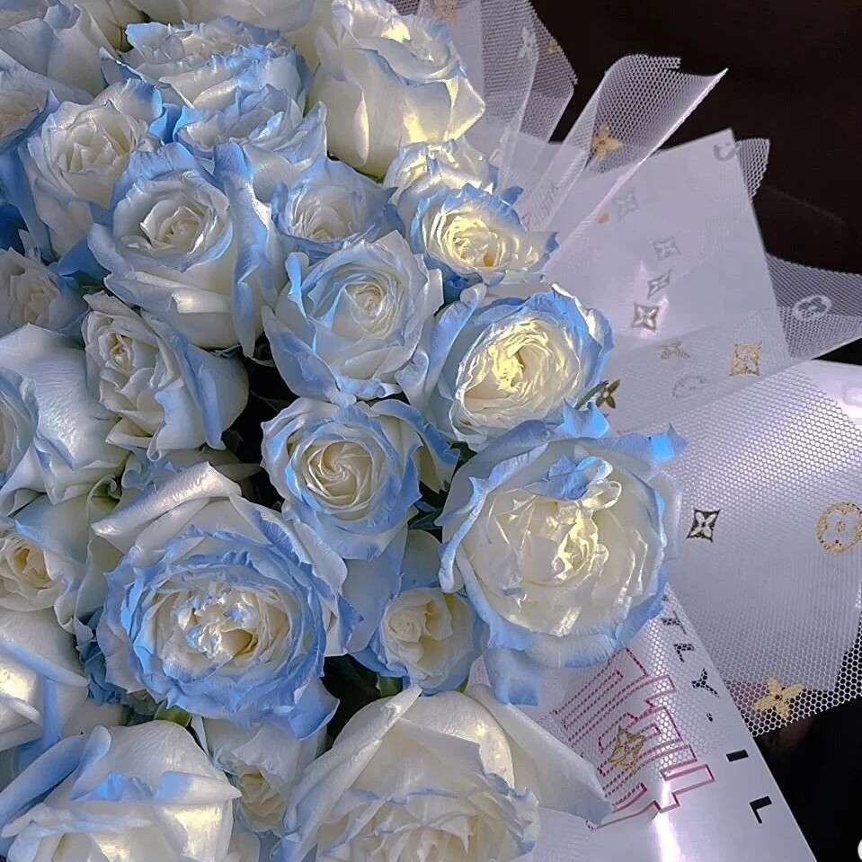 玫瑰🌹