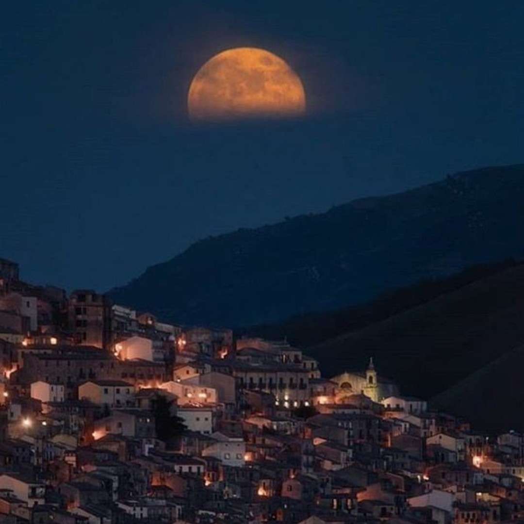 城市