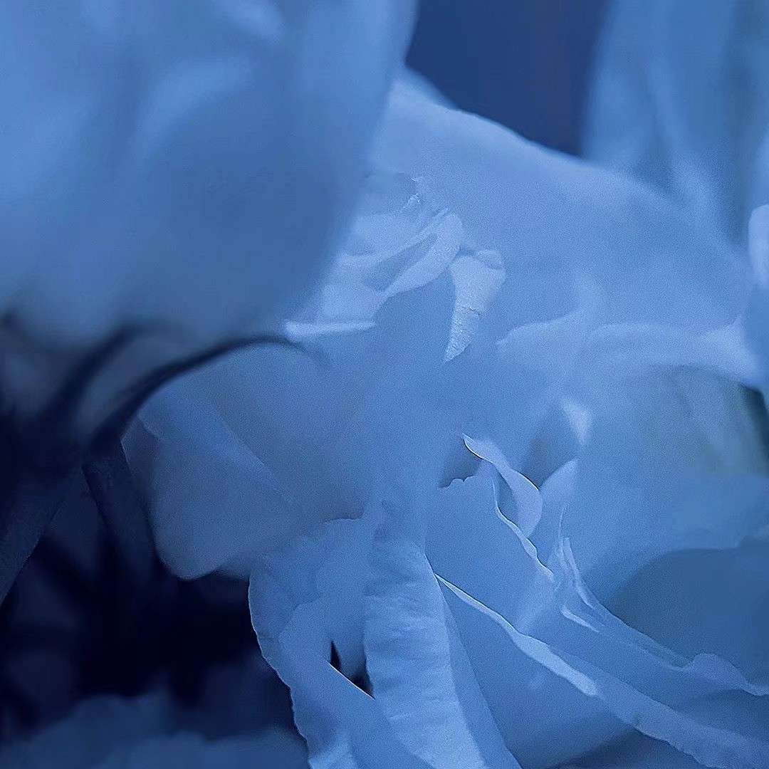 隔山海