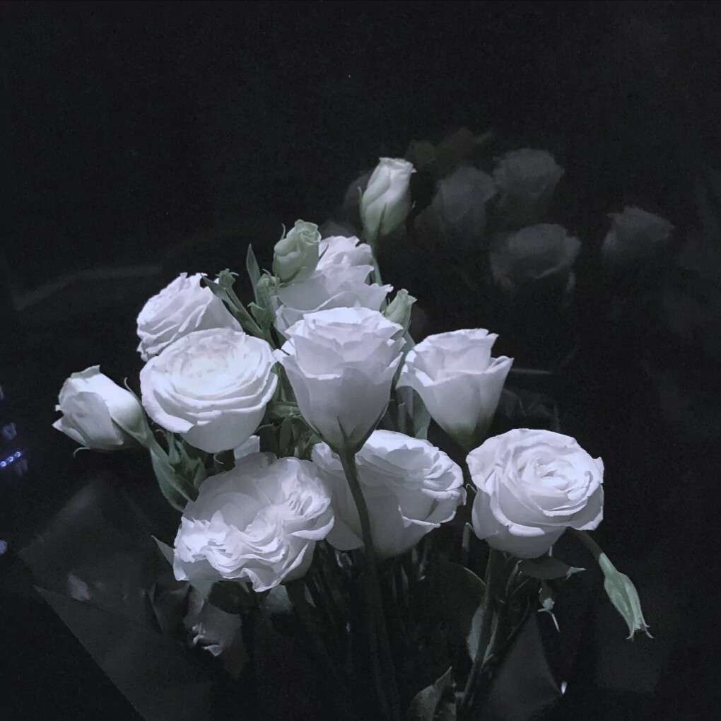 不言不语