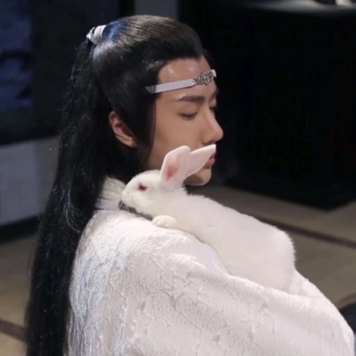 陈情令
