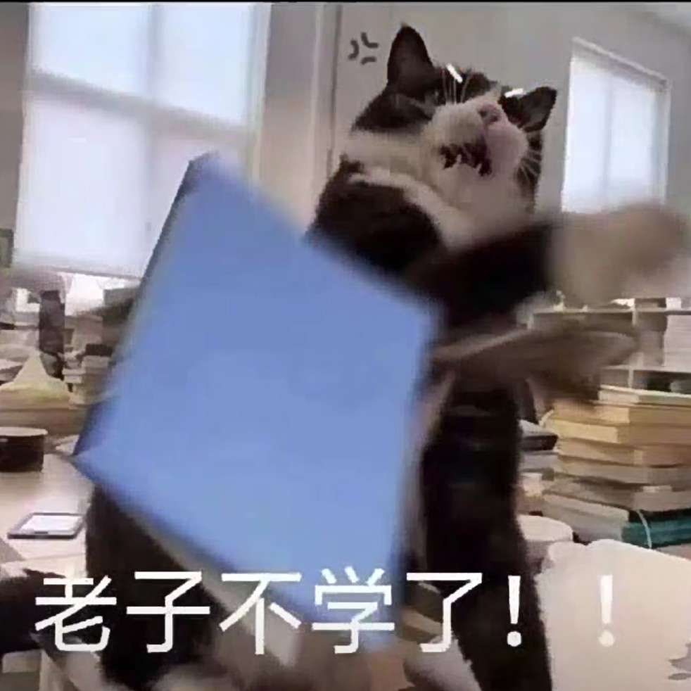 搞笑女文案