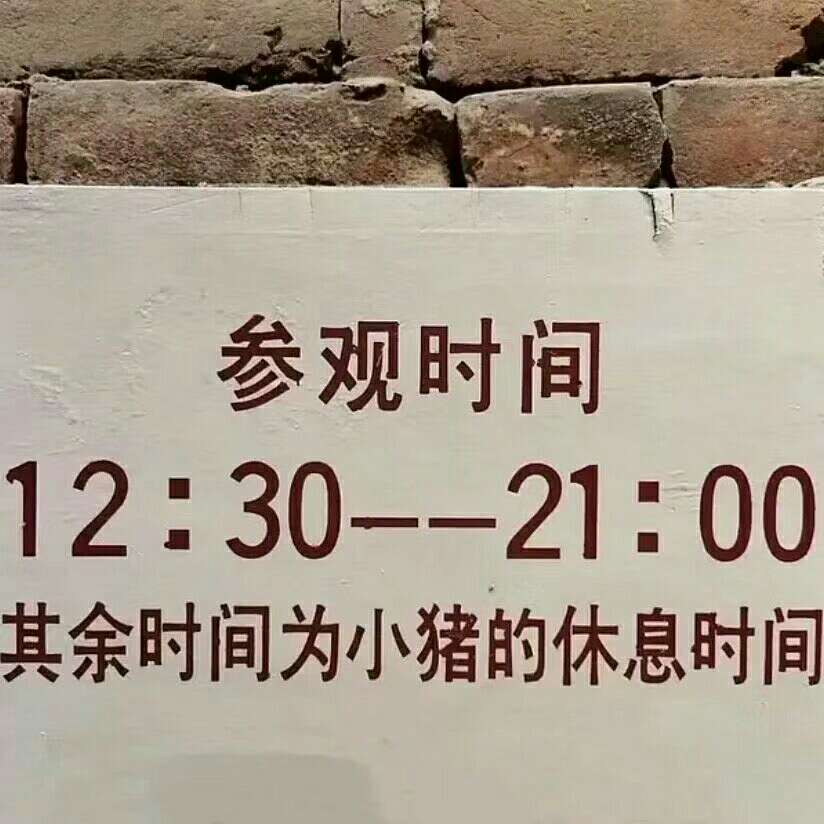 然然的专辑