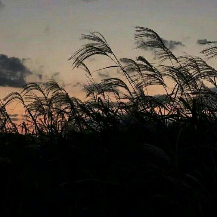 温柔以待