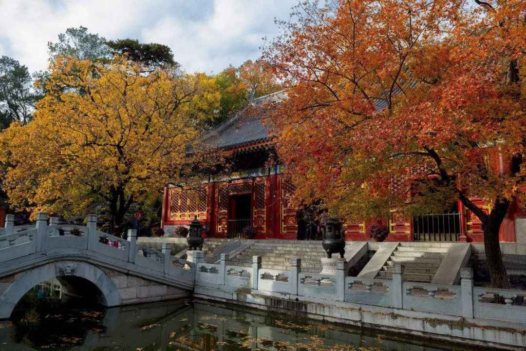 已逝流年