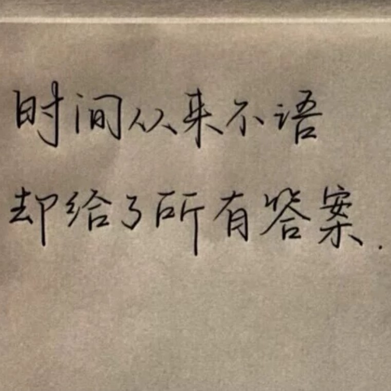海螺的专辑