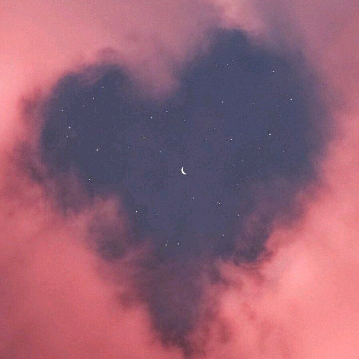 随风热吻你