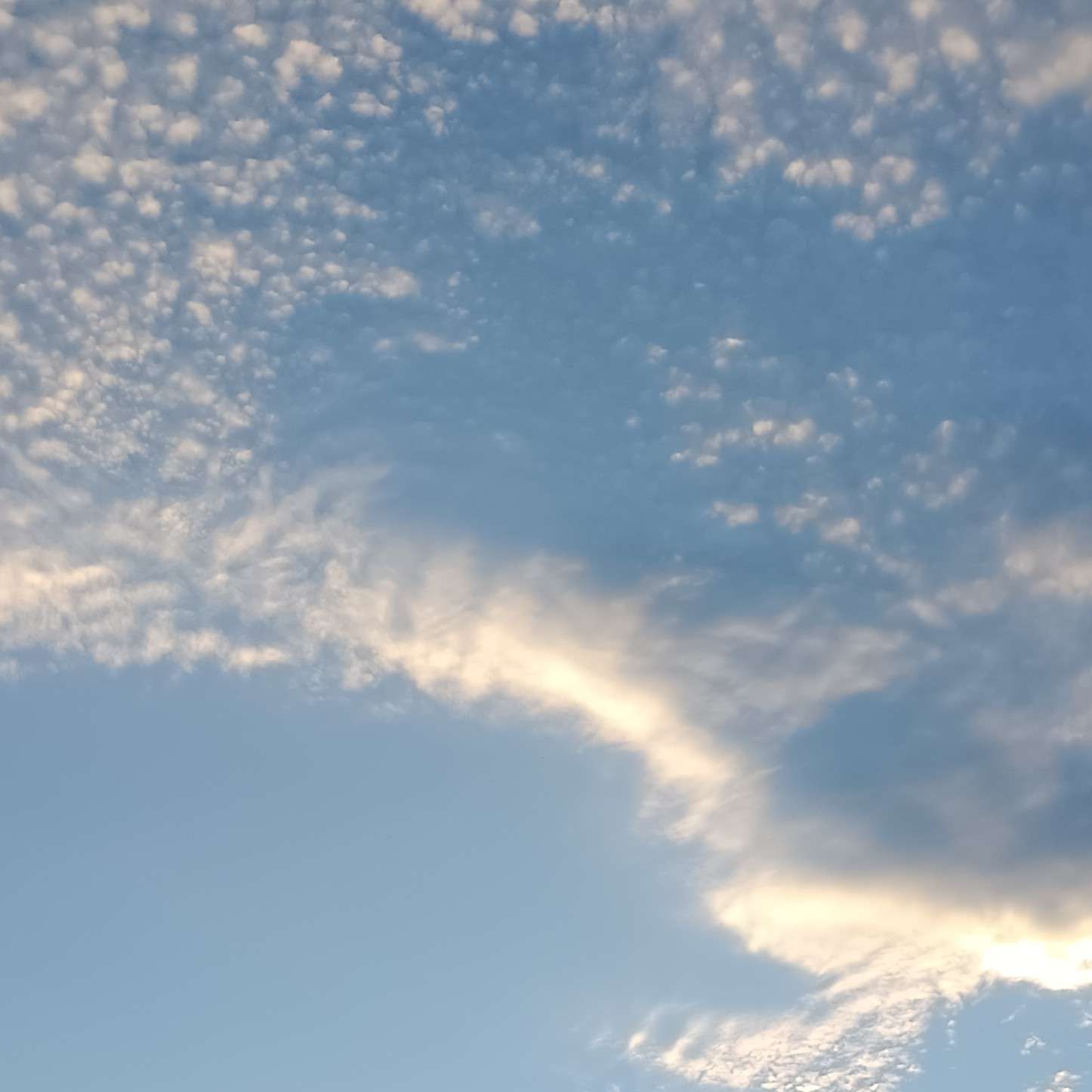 好句背诵