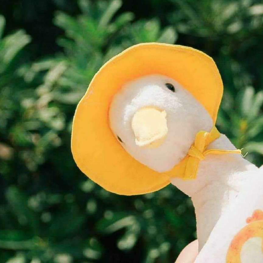大笑的专辑