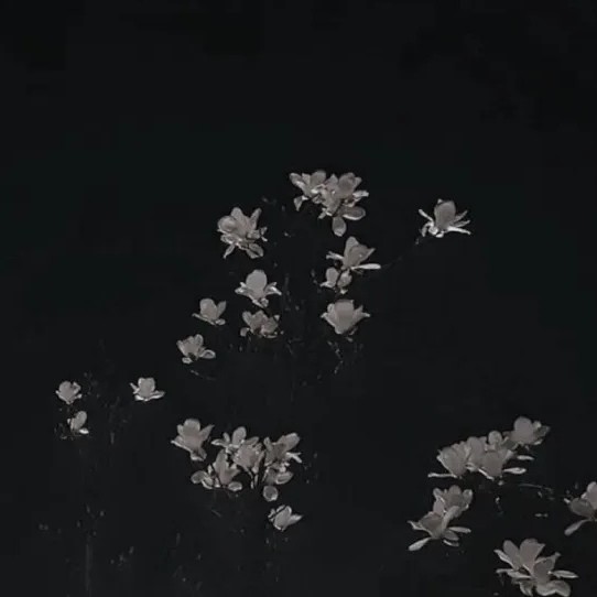 ༒