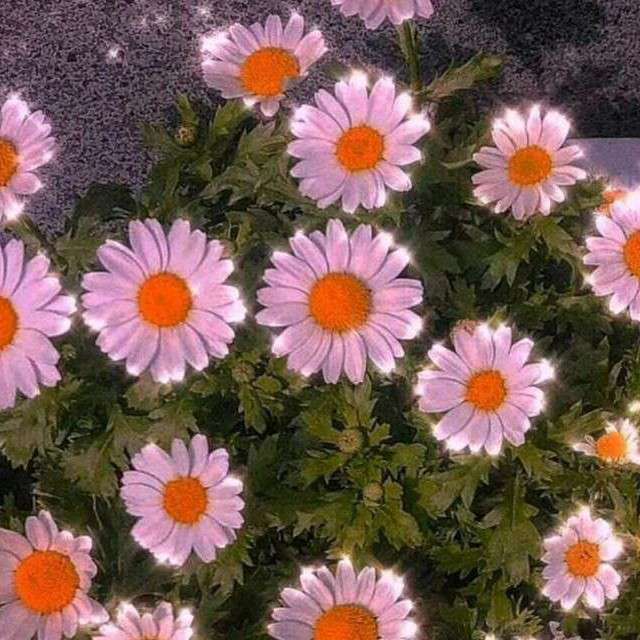 有道理
