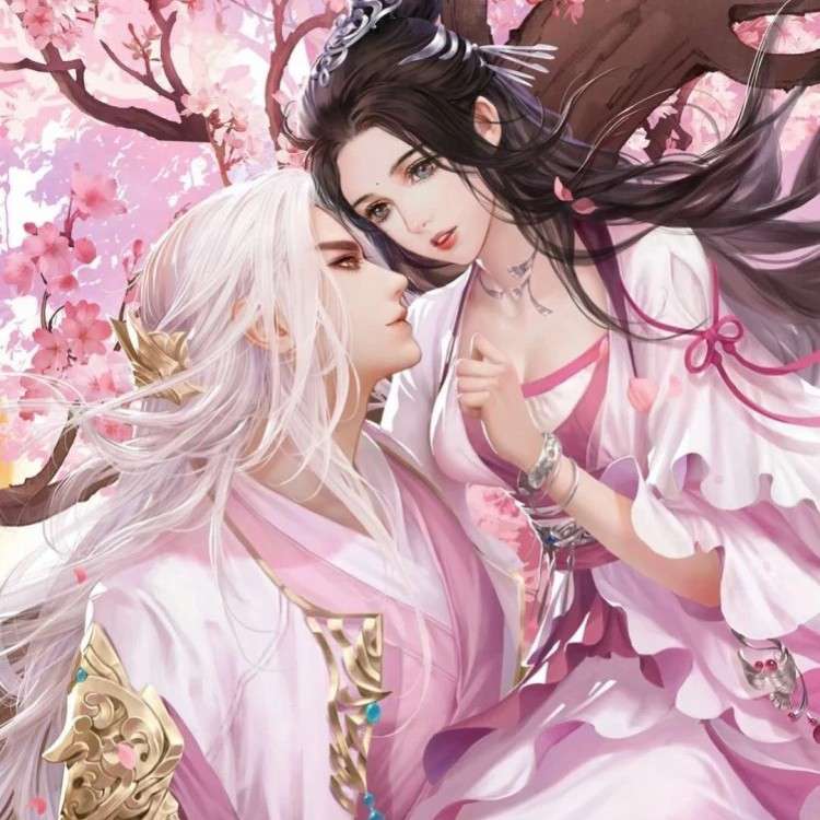 一品毒妃